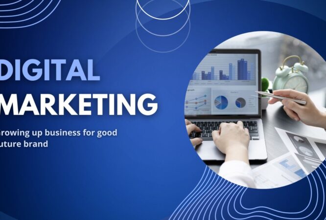 Marketing & Digital Promotion